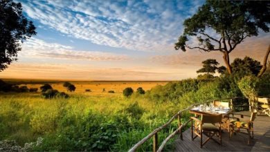 روعة الحياة البرية ورحلات السفاري في كينيا روعة الحياة البرية ورحلات السفاري في كينيا