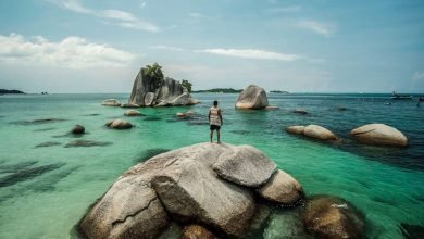 دليل السياحة في جزيرة سومطرة  دليل السياحة في جزيرة سومطرة