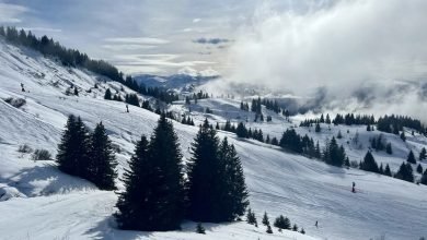 Ski Resort review: Les Gets, France Ski Resort review: Les Gets, France