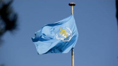 في اليوم العالمي للملاريا أرقام وإحصائيات