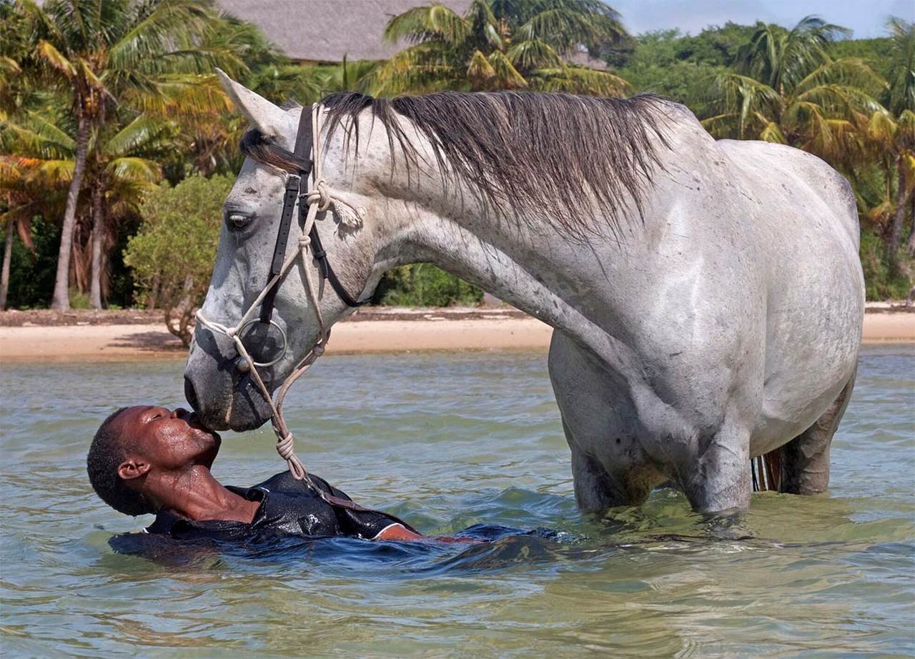 Top 5 places in the world to swim with horses Top 5 places in the world to swim with horses