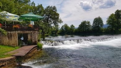 اقتراحات السكان المحليين لأفضل مطاعم بيهاتش