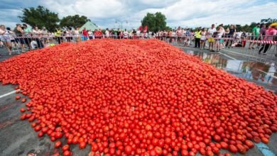 الاحتفال السنوي بمعركة الطماطم في إسبانيا الاحتفال السنوي بمعركة الطماطم في إسبانيا