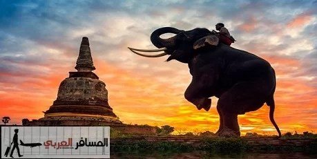 السياحة فى تايلند و 5 اماكن رائعة يجب ان لا تفوتك السياحة فى تايلند و 5 اماكن رائعة يجب ان لا تفوتك