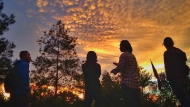 السياحة في بونشاك وأهم المعلومات التي يحتاجها الزائر السياحة في بونشاك وأهم المعلومات التي يحتاجها الزائر