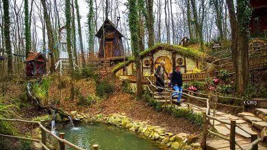 السياحة في كوجالي وأجمل الأماكن السياحية للزيارة السياحة في كوجالي وأجمل الأماكن السياحية للزيارة