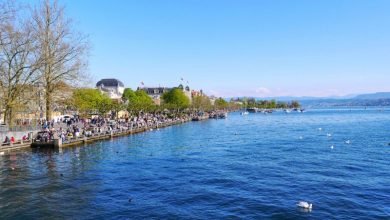 السياحة في زيورخ وأهم المعلوات التي يحتاجها الزائر السياحة في زيورخ وأهم المعلوات التي يحتاجها الزائر