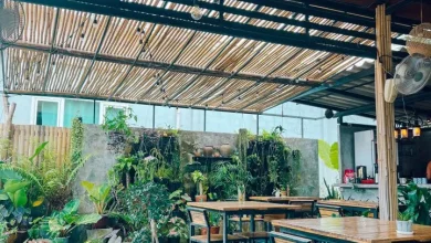 أفضل المطاعم في كوه لانتا