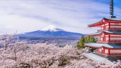 جبل فوجي: أيقونة اليابان جبل فوجي: أيقونة اليابان