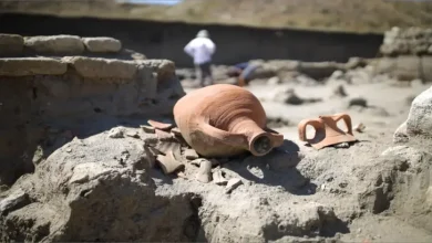 علم الآثار: مزاياه وعيوبه علم الآثار: مزاياه وعيوبه